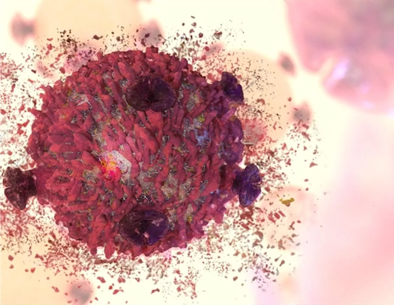 Ribosomes and ZAK protein spur the cell's initial response to UV radiation damage