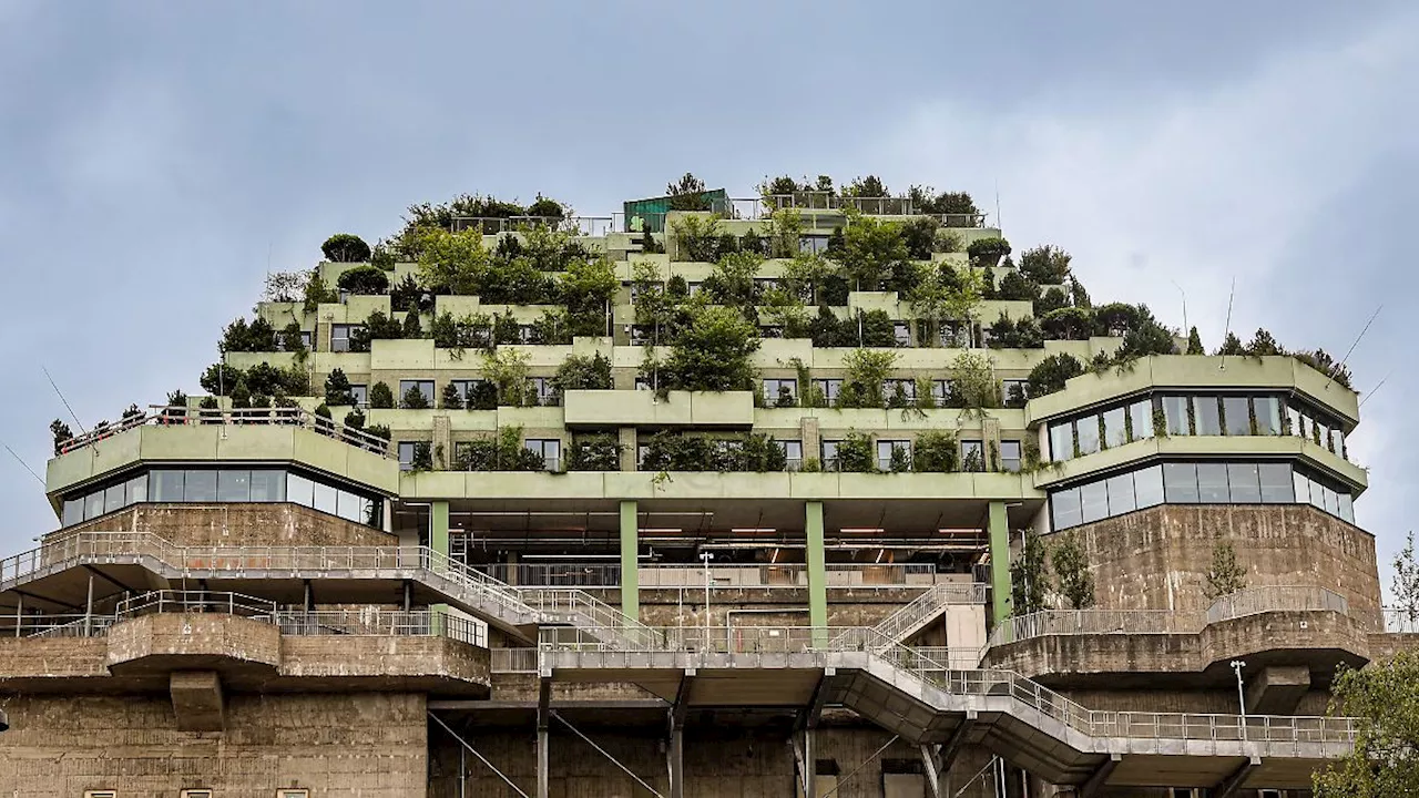 Hamburg & Schleswig-Holstein: Eröffnung des grünen Bunkers auf St. Pauli mit Gästen