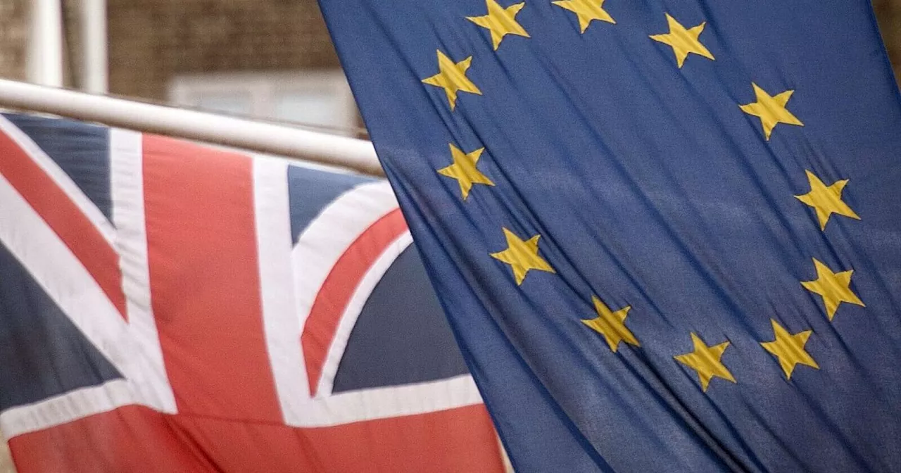 Deutsche Wirtschaft: Keine Brexit-Lockerung nach Wahl