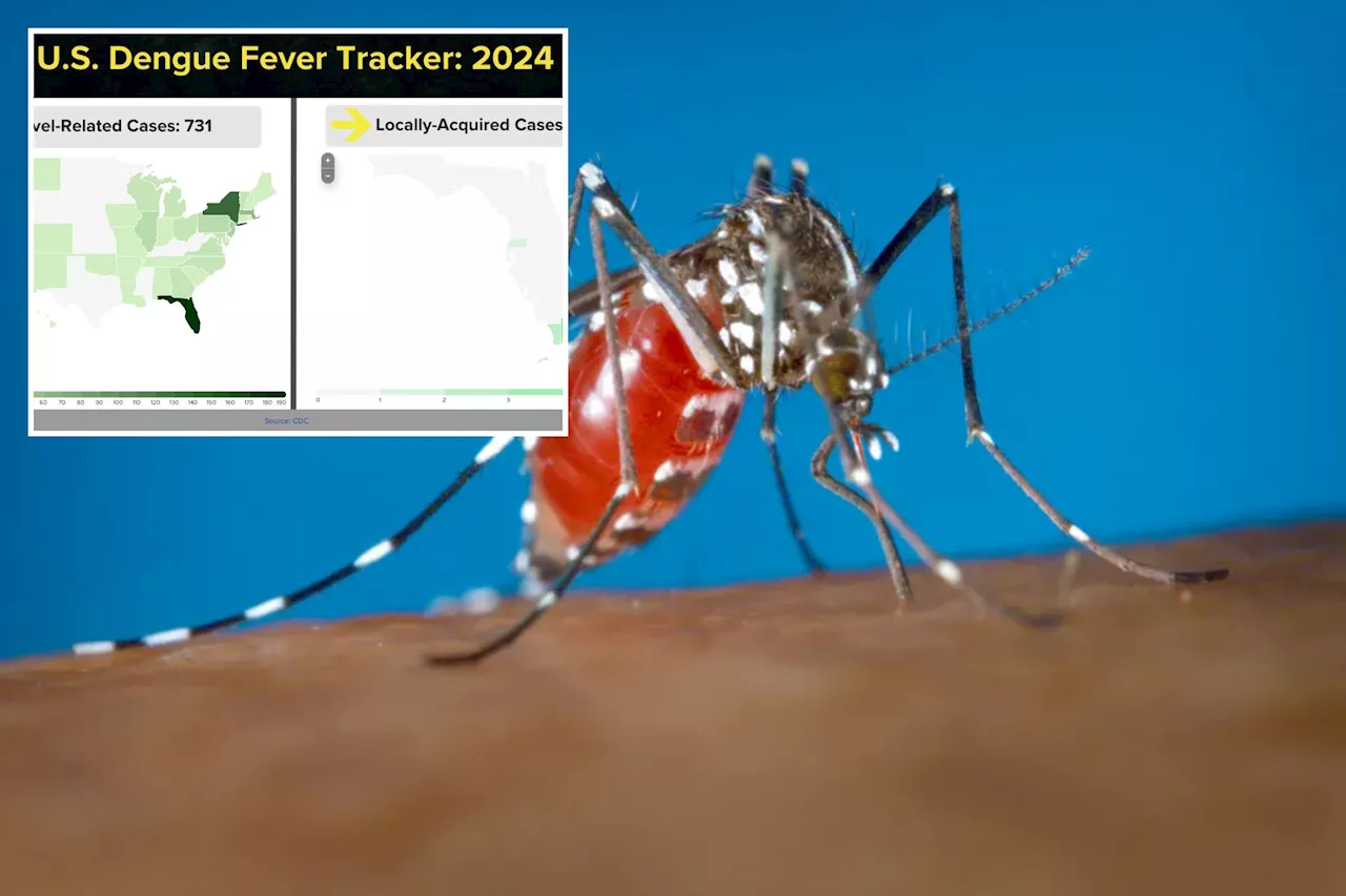 Dengue fever reported in Florida Keys in two locally acquired cases