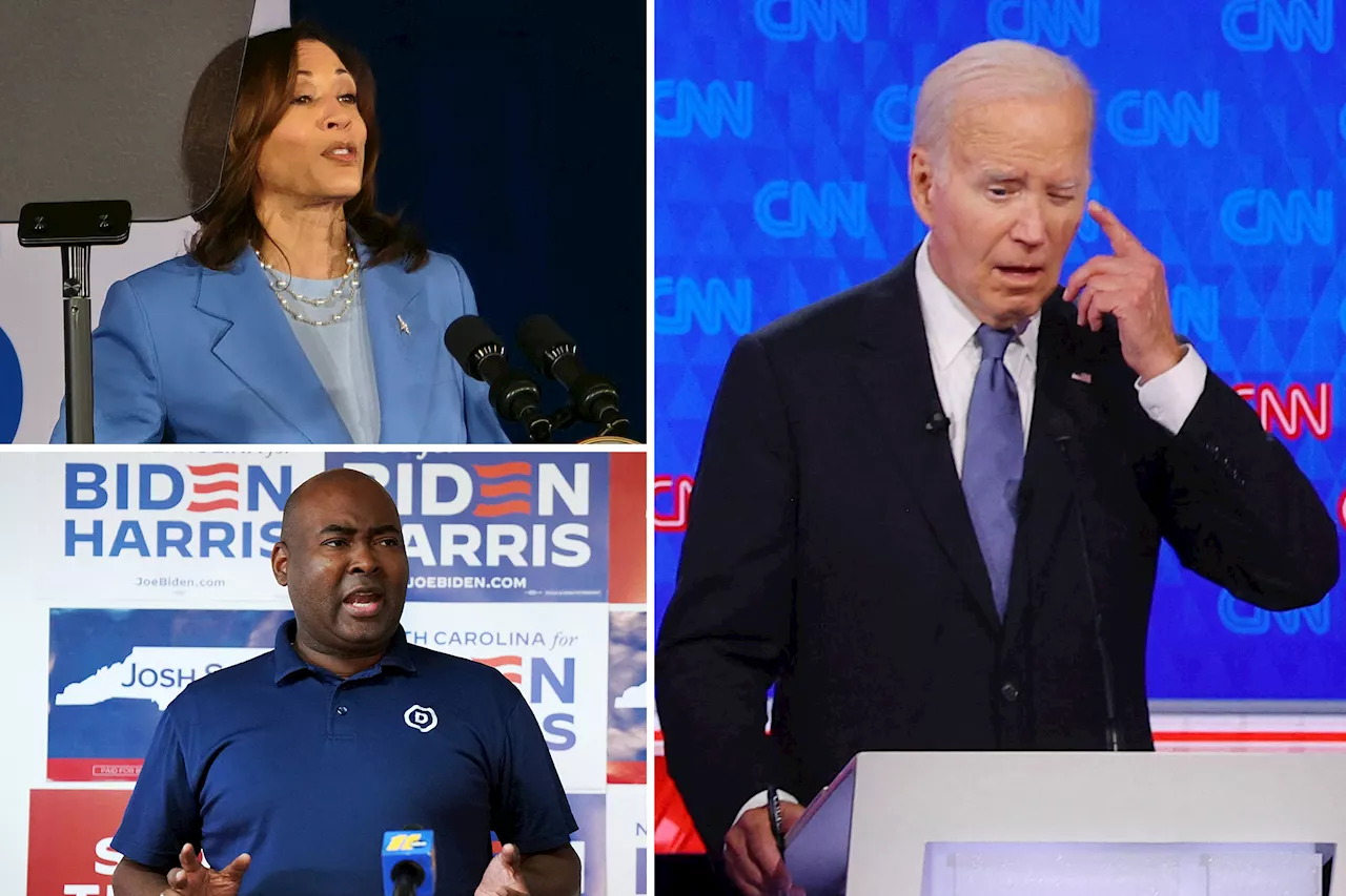 DNC peddles inaccurate talking points that Biden can be 'only' presidential candidate on 2024 ticket: report