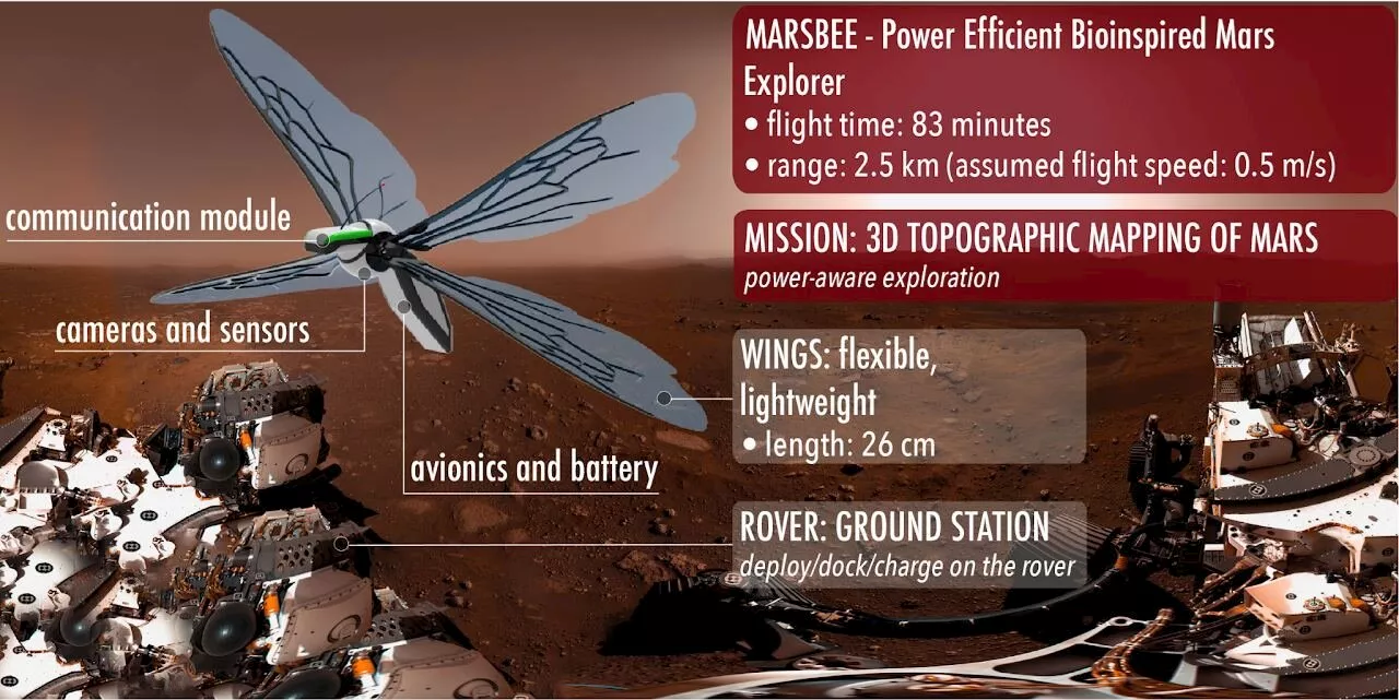 Could we replace Ingenuity with a swarm of robotic bees?