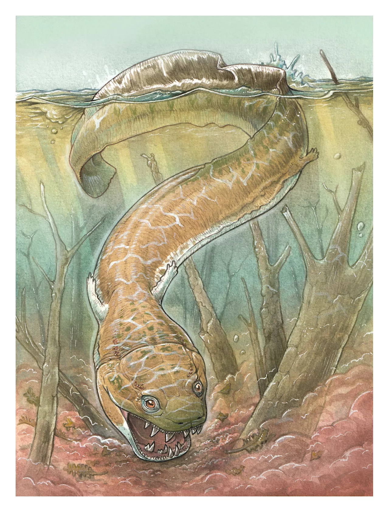 Giant salamander-like creature was a top predator in the ice age before the dinosaurs