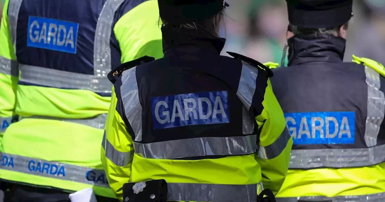 Mother and eight-year-old daughter killed in Mayo road tragedy named