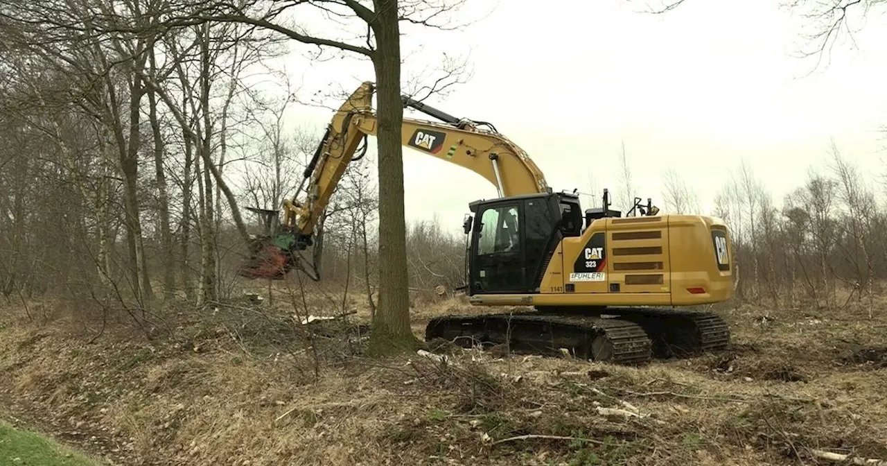 Provincie werkt aan natuurherstel: aanvraag van 180 miljoen neergelegd bij Rijk