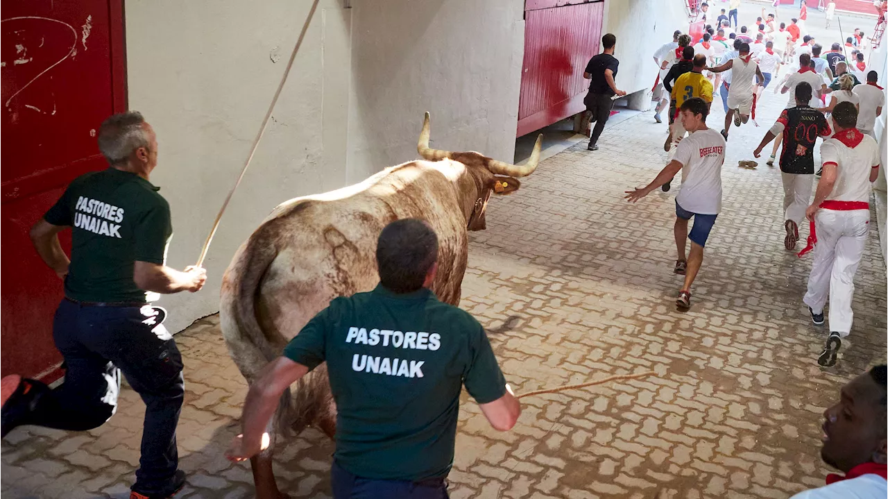 Miguel Reta, 30 años dedicado a poner orden en los encierros de San Fermín: 'El toro manda y decide cómo va a ir'