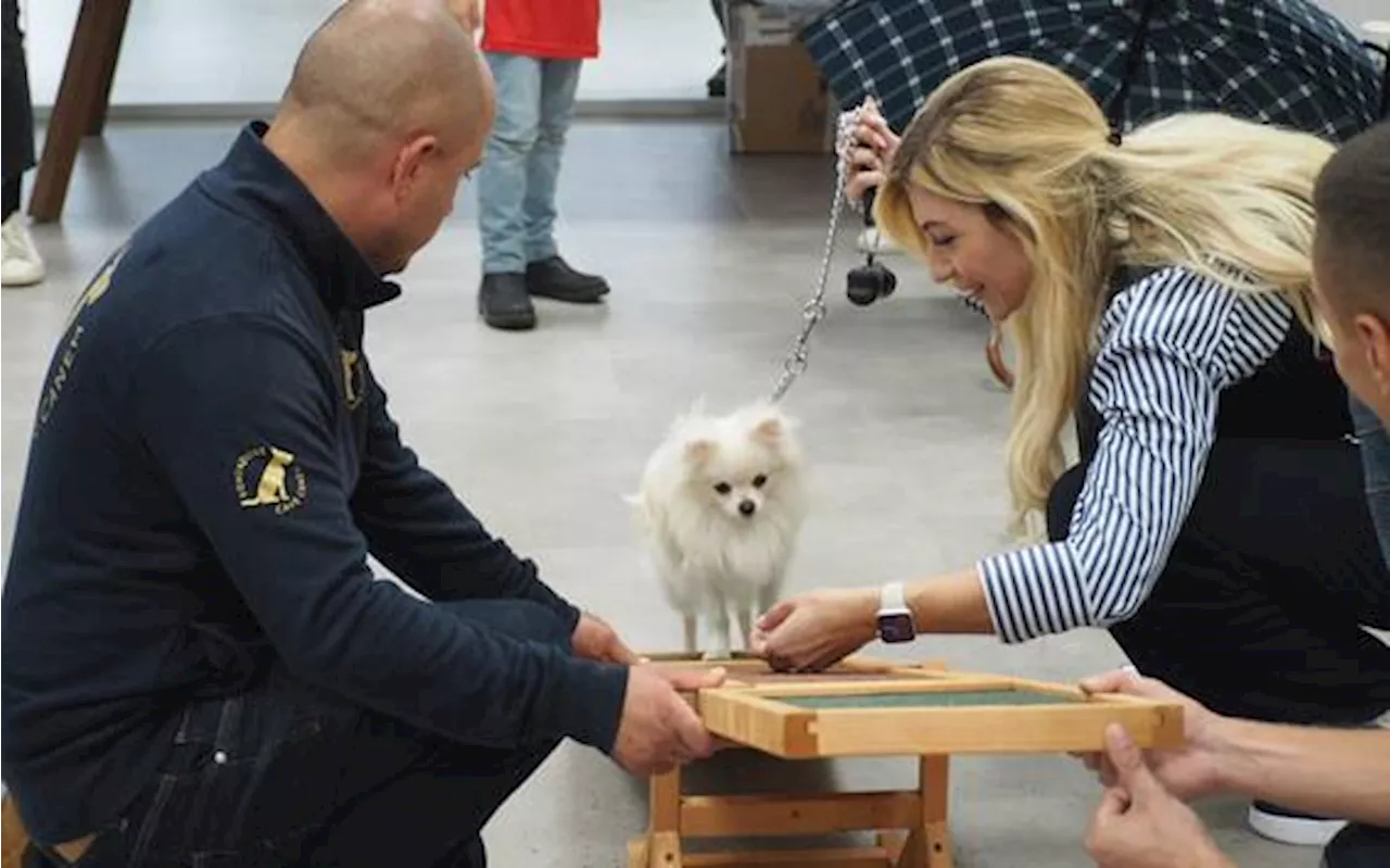 Italo cerca casa a oltre 150 cani e gatti abbandonati