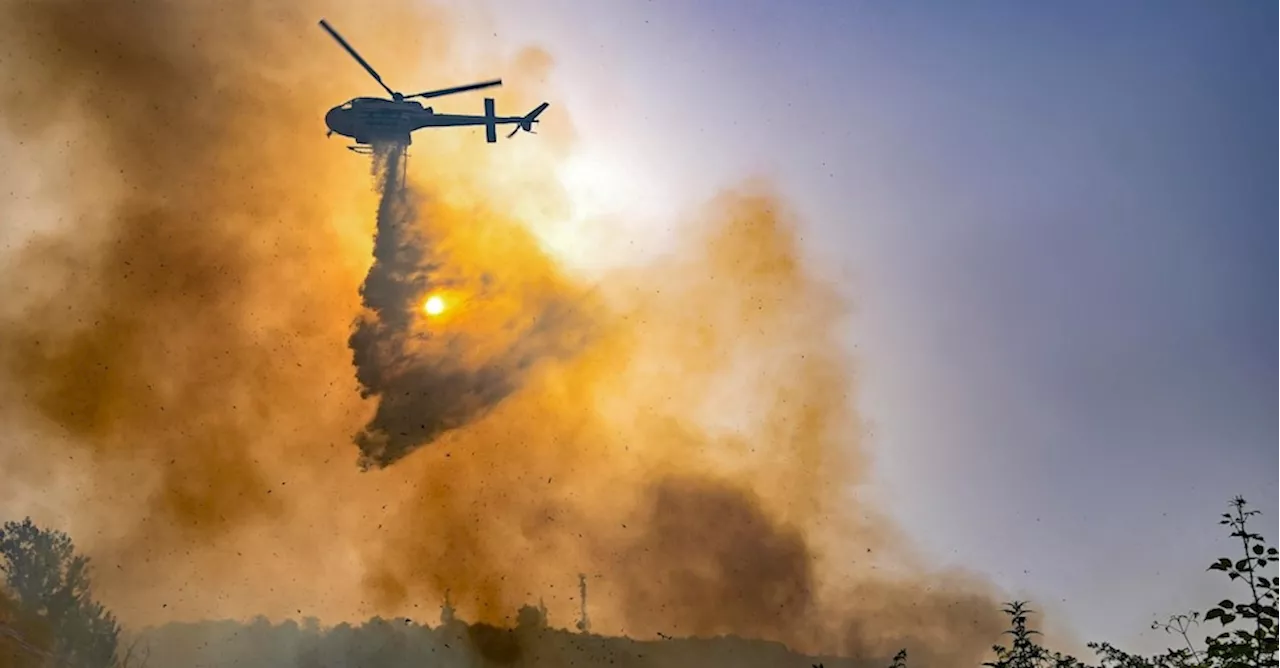 Incendi, cresciute del 36% nel 2023 le superfici andate a fuoco