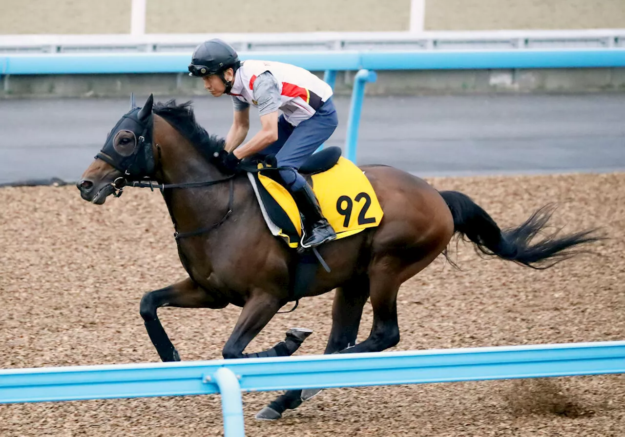 【七夕賞】７歳アラタが新たな一面見せた！理想的な加速ラップに田中助手「今までこんなに稽古で楽に動けることはなかった」