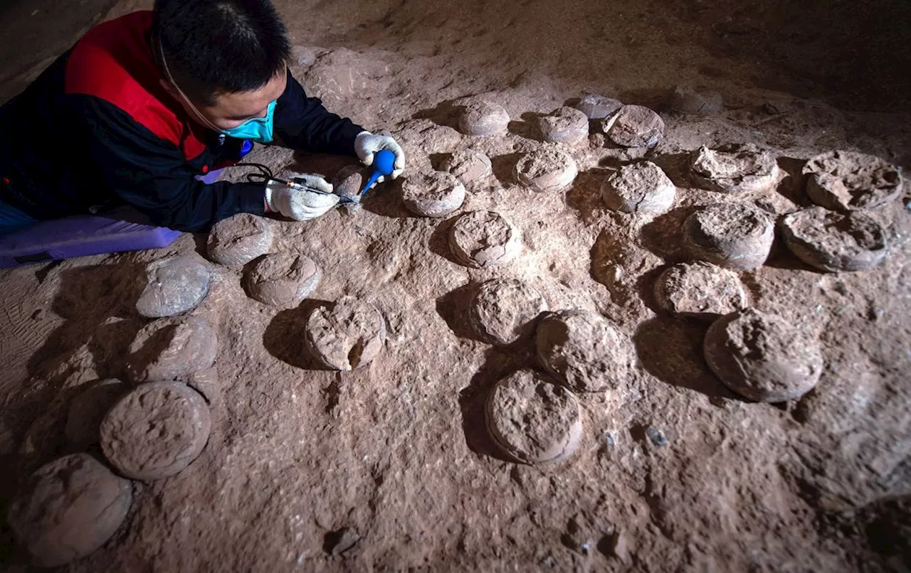 Expert shares egg-citement of dinosaur discoveries in China