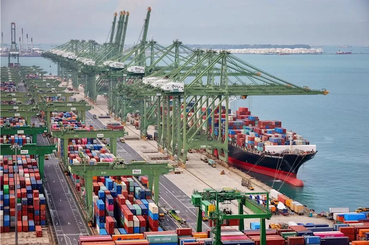 Singapore boosts container handling capacity as more ships call