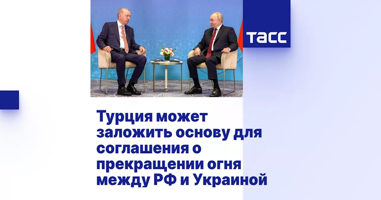 Турция может заложить основу для соглашения о прекращении огня между РФ и Украиной