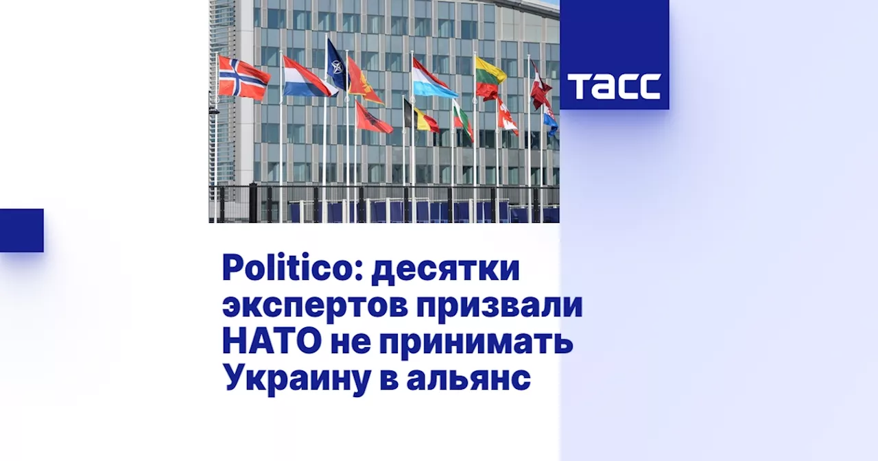 Politico: десятки экспертов призвали НАТО не принимать Украину в альянс