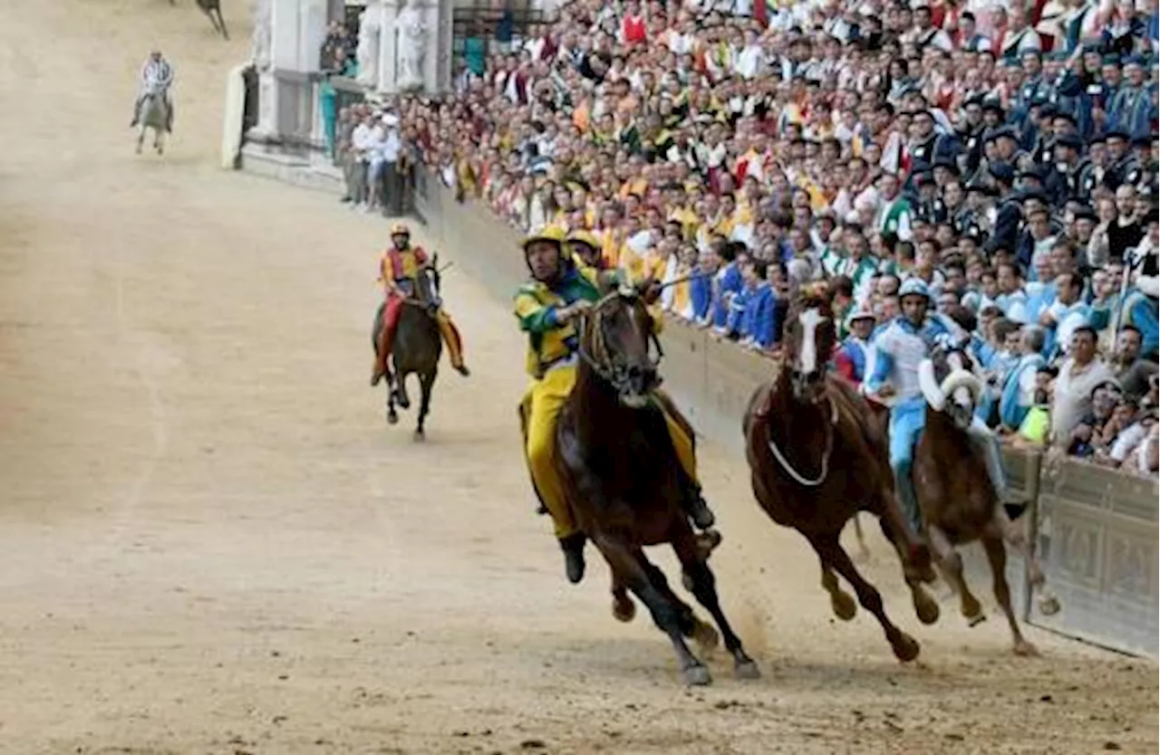 Palio di Siena, stasera la gara in diretta su La7: orari e regole da sapere