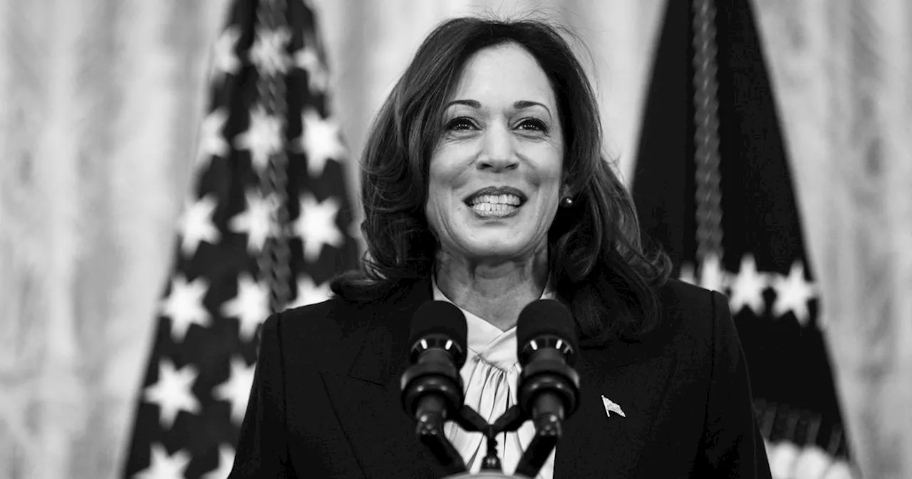 Kamala Harris Memes Show She’s Got Major Momentum