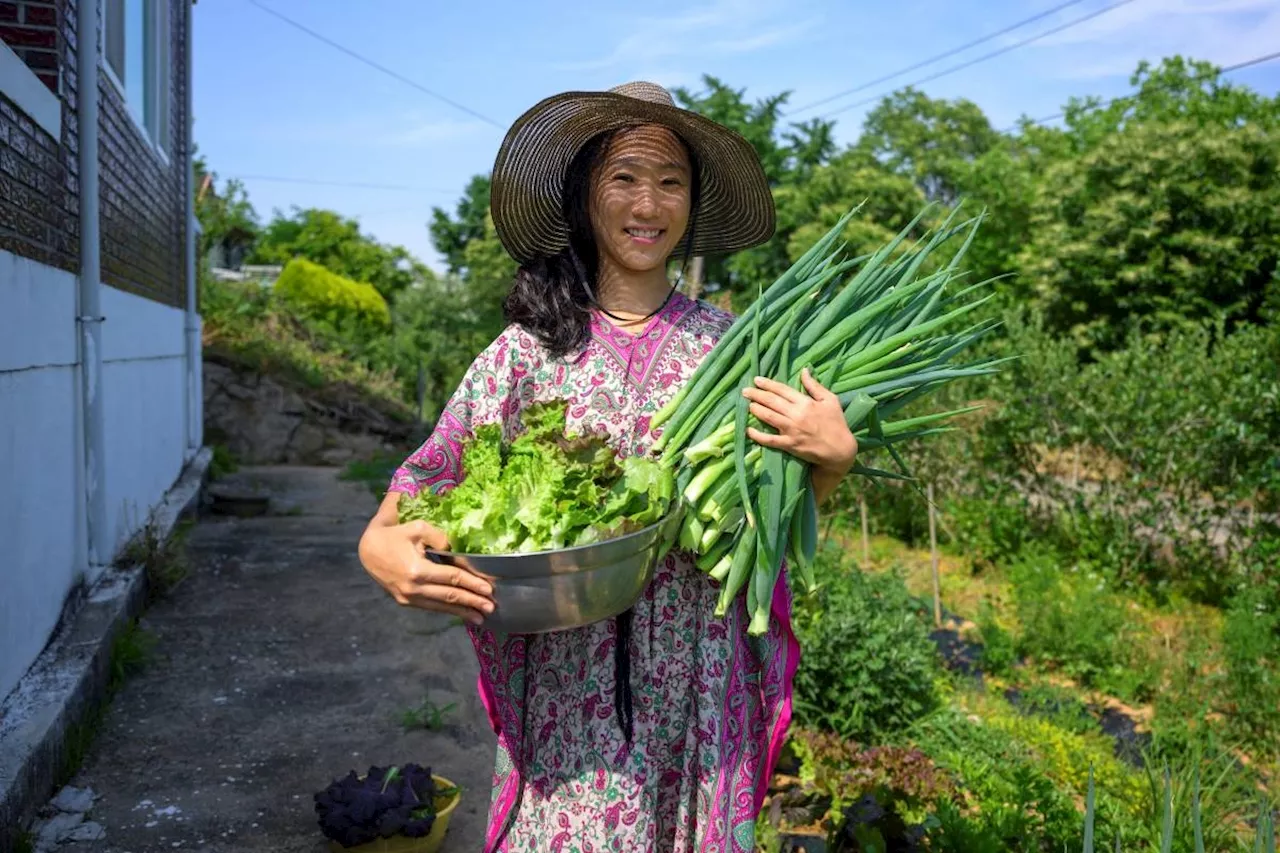 Single and proud: SKorean YouTuber's viral embrace of solo life