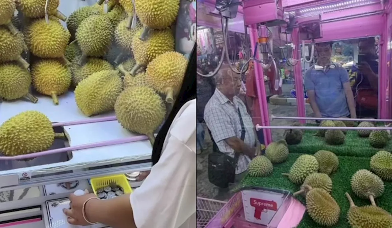 [Watch] Grabbing The King: Durian Claw Machines Capture Hearts