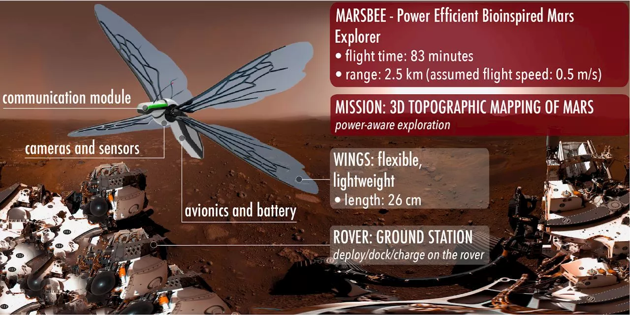 Could We Replace Ingenuity With a Swarm of Robotic Bees?