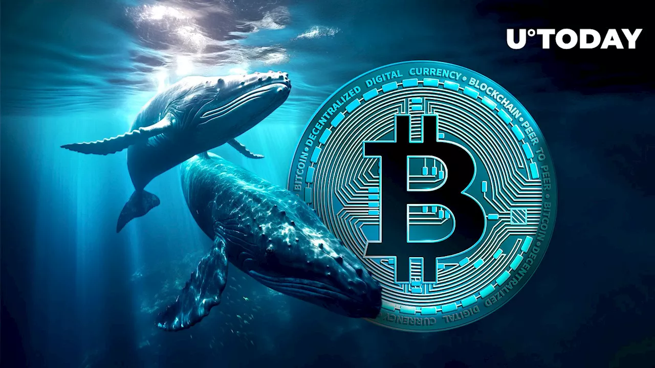 Major Whales Buying Bitcoin (BTC) Dip: Data