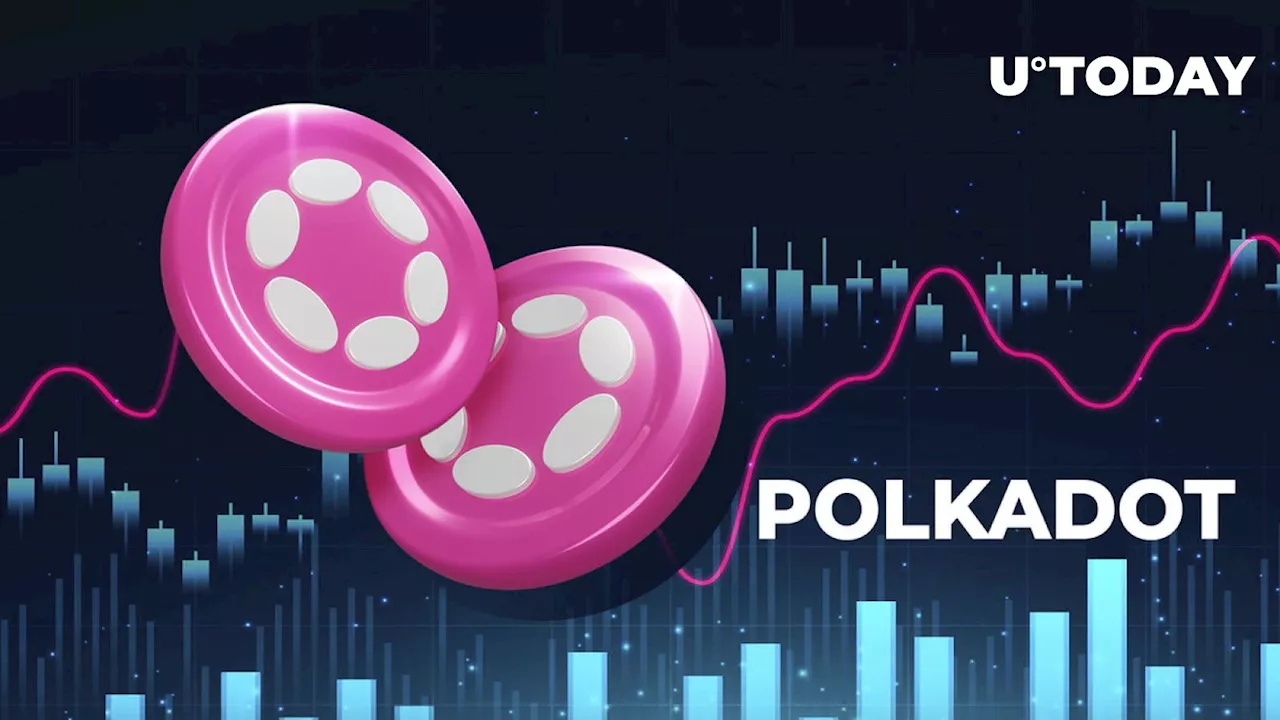 Polkadot (DOT) Stuns Community With Unexpected Rebrand Update