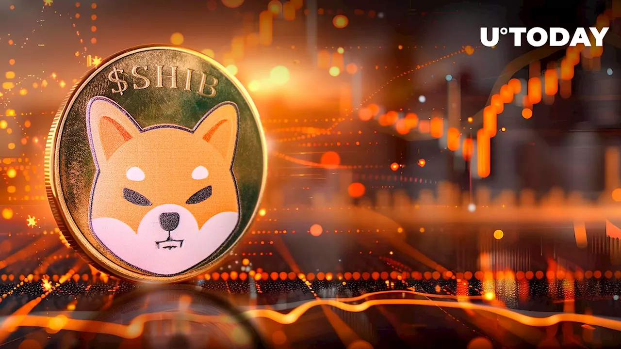 Shiba Inu (SHIB) Skyrockets 8,596% in Major Metric