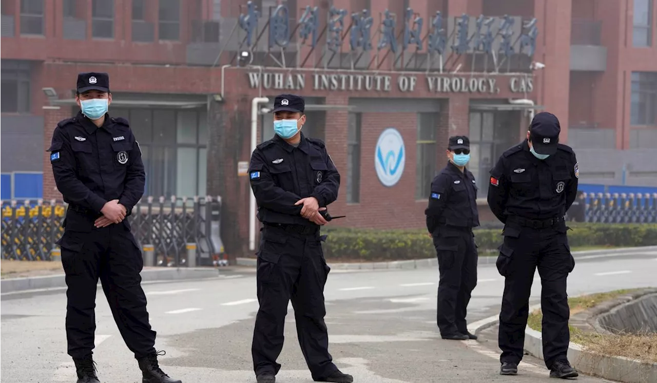 Pentagon can't account for funding of risky virus research in China