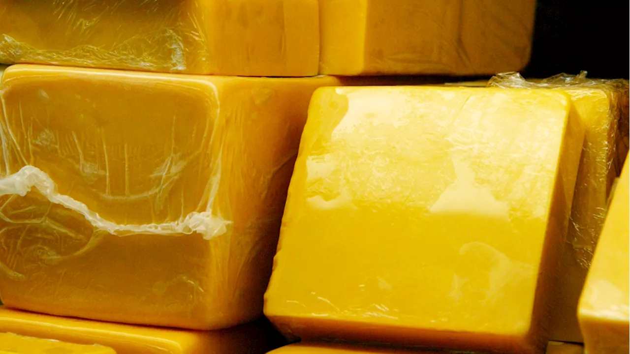 Officer fired for allegedly stealing nearly 400 lbs of cheddar from overturned truck