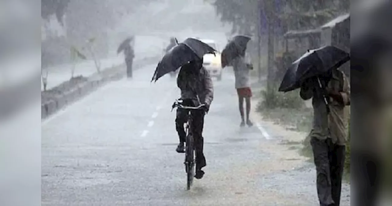 Bihar Weather: पूर्वी चंपारण और सीतामढ़ी समेत बिहार के इन जिलों में तेज बारिश के साथ ठनका के आसार, IMD का अलर्ट जारी