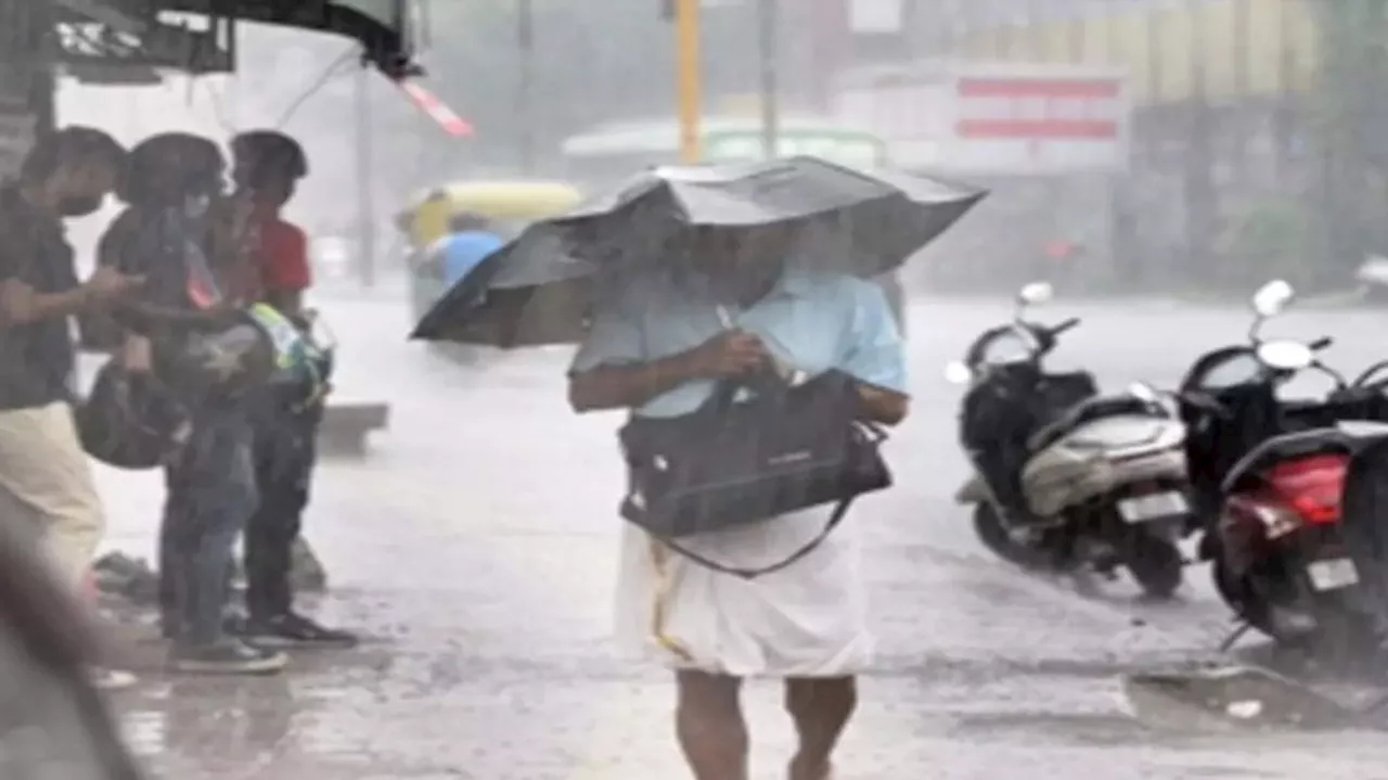 Kerala Rain Alert: സംസ്ഥാനത്ത് ഇന്നും മഴ കനക്കും; 3 ജില്ലകളിൽ യെല്ലോ അലർട്ട്