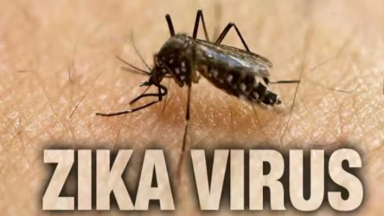 Zika virus: മഹാരാഷ്ട്രയിൽ സിക്ക വൈറസ് ബാധിതരുടെ എണ്ണം വർധിക്കുന്നു; സംസ്ഥാനങ്ങൾക്ക് ജാ​ഗ്രത നിർദേശം നൽകി