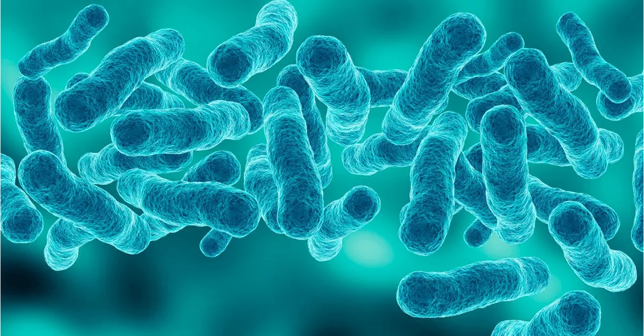 Health alert after sudden Legionnaires' disease outbreak in Melbourne