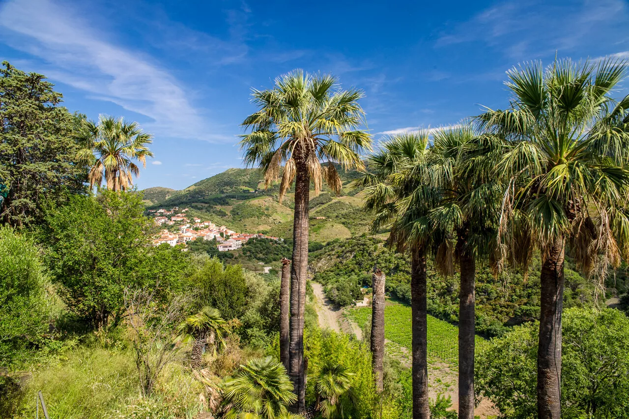 Ce jardin authentique des Pyrénées-Orientales se visite et offre une vue exceptionnelle