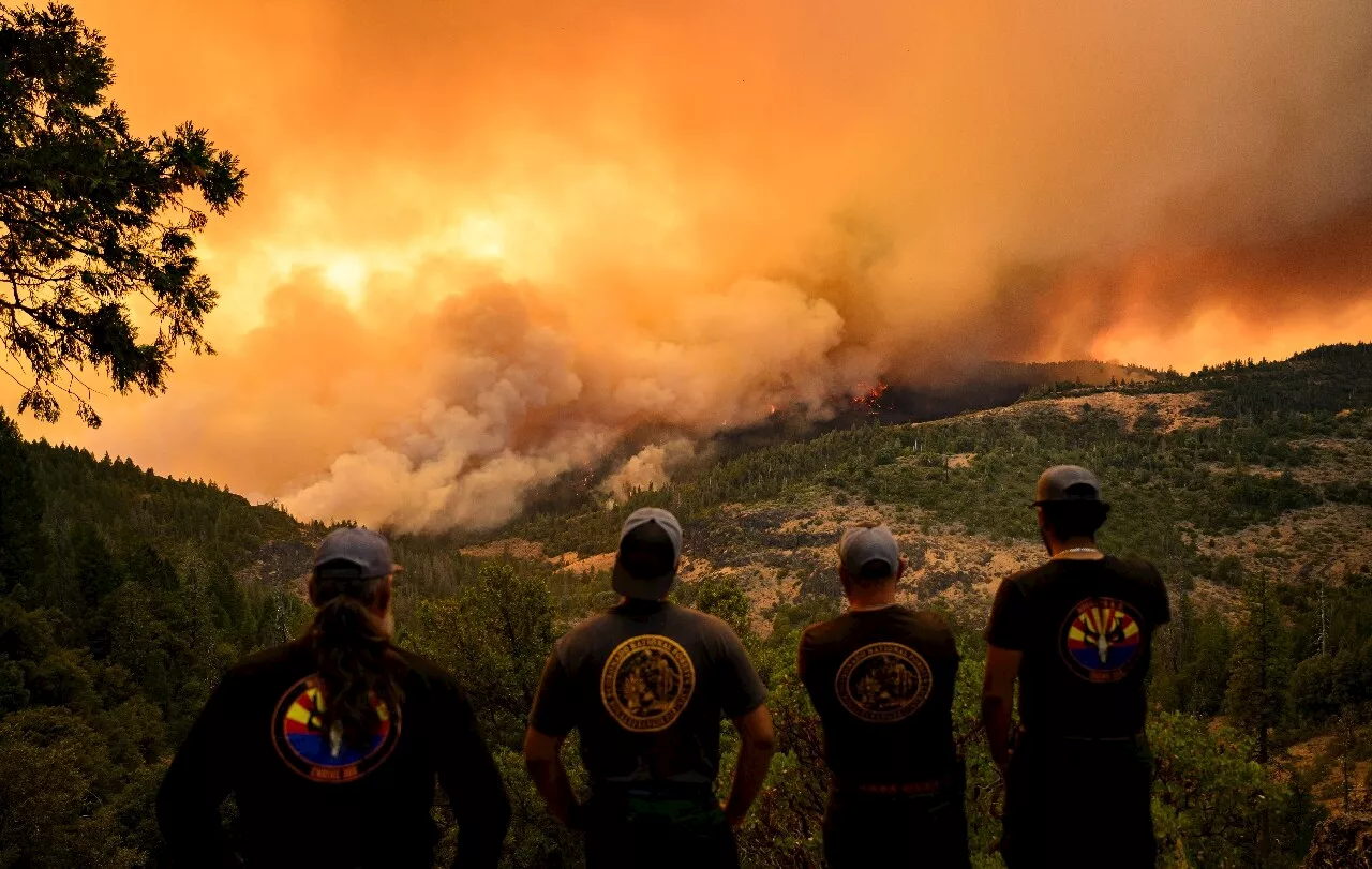 Mégafeux en Californie : des milliers de pompiers luttent contre le plus grand incendie de l'année