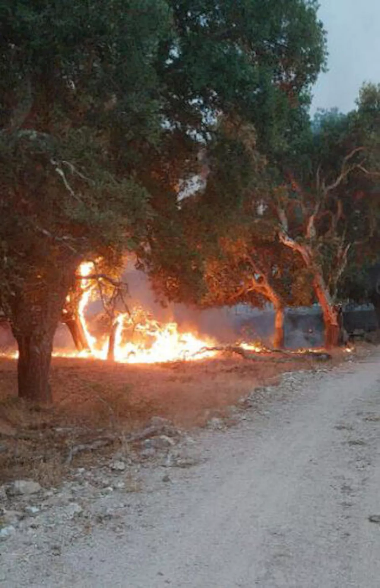 Spento l'incendio nel Nuorese, 800 ettari in fumo