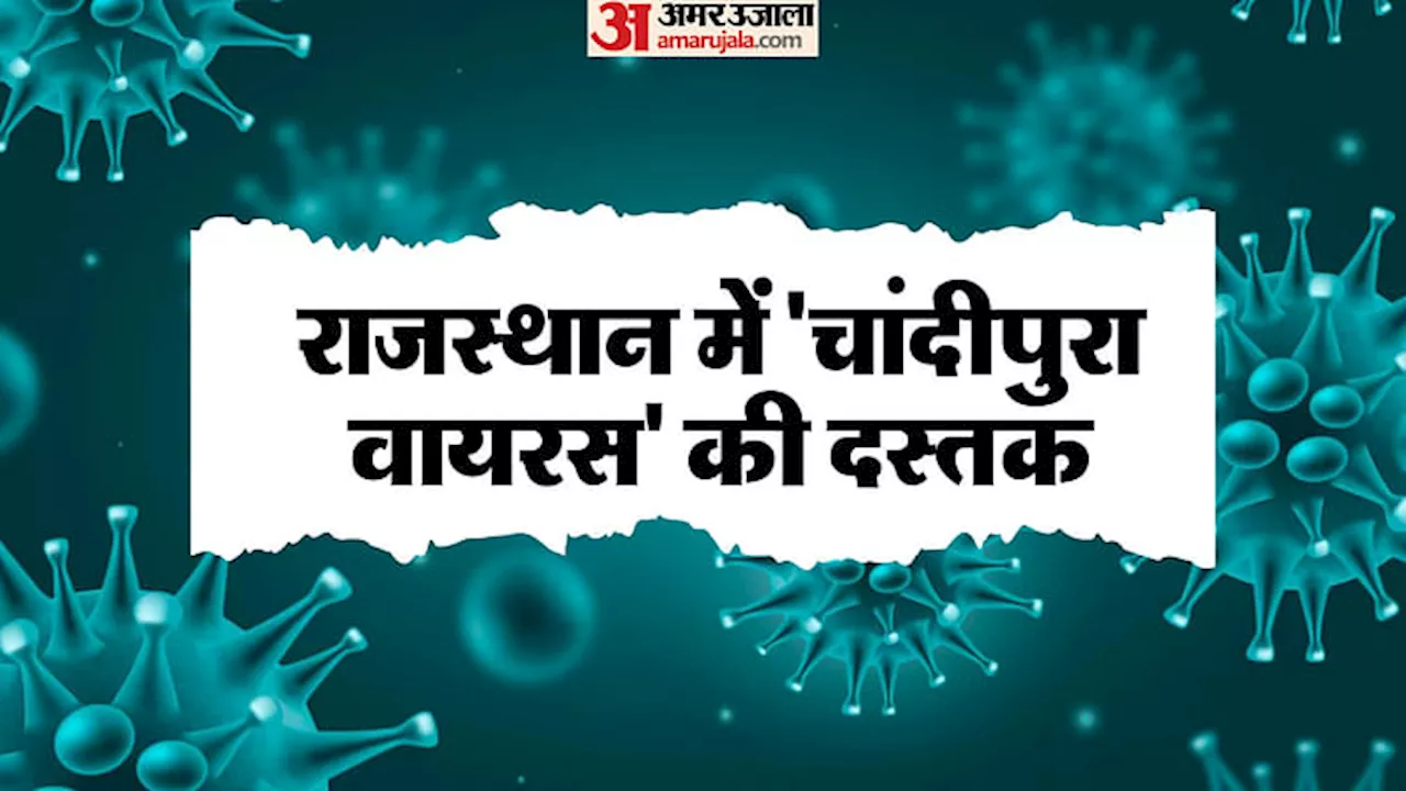 Rajasthan News: डूंगरपुर में 'चांदीपुरा वायरस' का पॉजिटिव केस, स्वास्थ्य महकमे में मची हलचल, जारी की एडवाइजरी