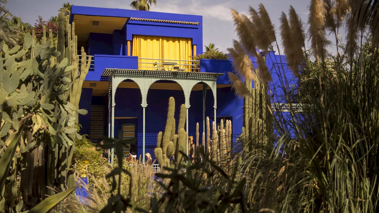 Le jardin Majorelle, refuge d'Yves Saint Laurent à Marrakech, fête ses 100 ans