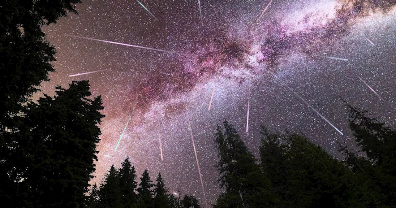 Here's when Canadians can watch the mesmerizing Perseid meteor shower