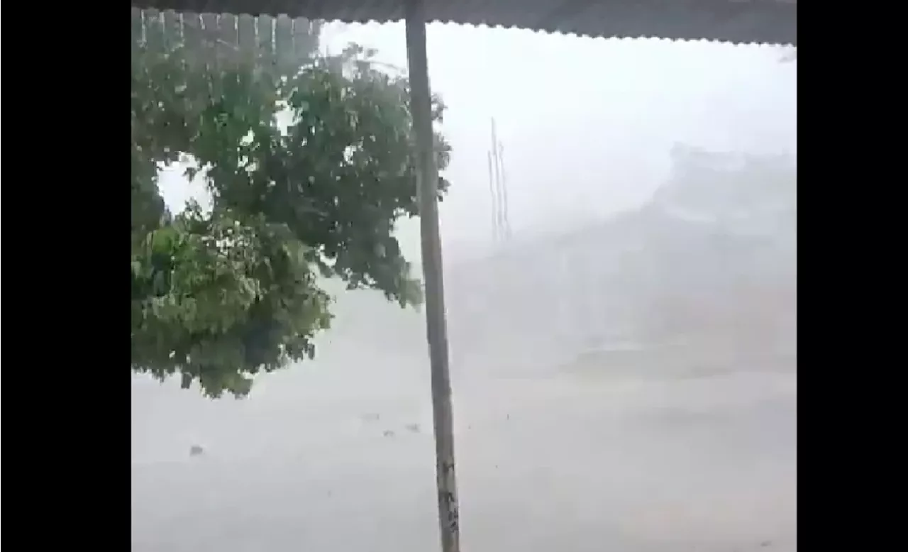 Fuerte vendaval en Puerto Wilches, Santander, dejó casas destechadas y árboles caídos