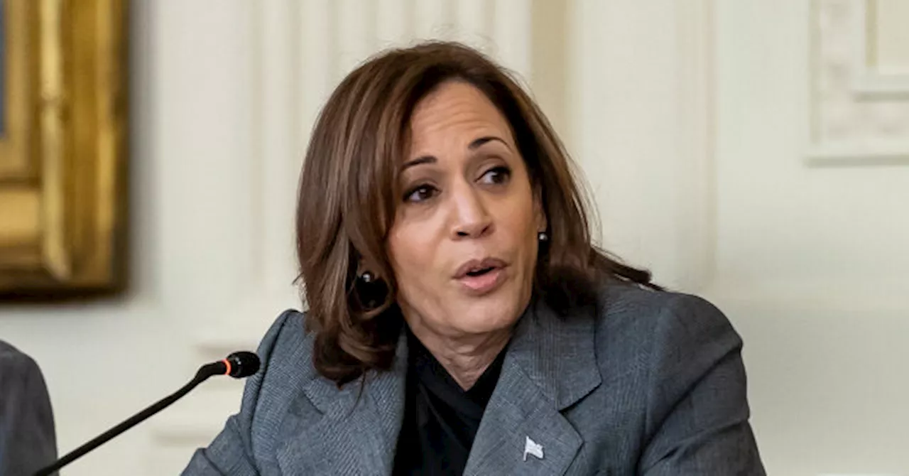 Dem Rep. Auchincloss: ‘When She Was Tackling Immigration’ for Biden, Harris ‘Addressed Part of the Problem’