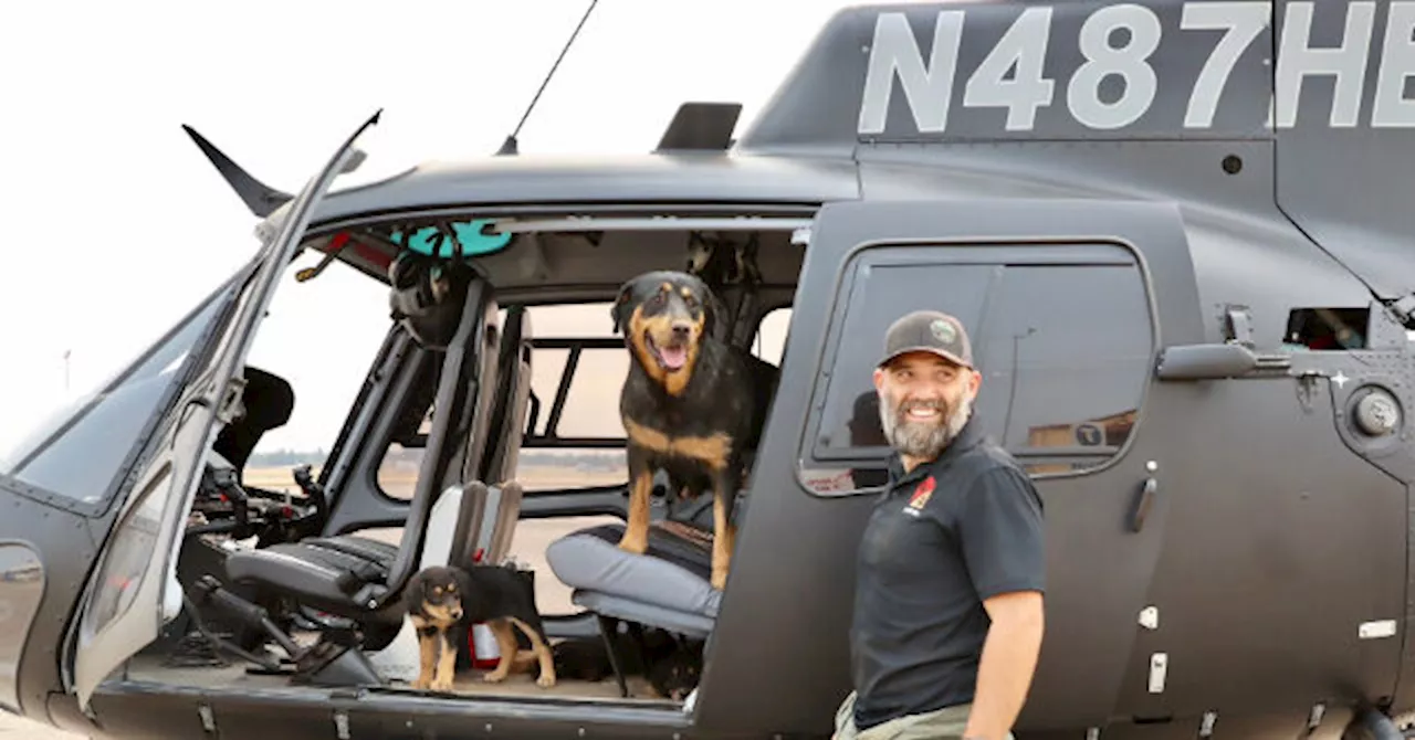 PHOTOS — ‘God Bless You’: Rescuer Braves California Wildfire to Save Dog and Her Puppies