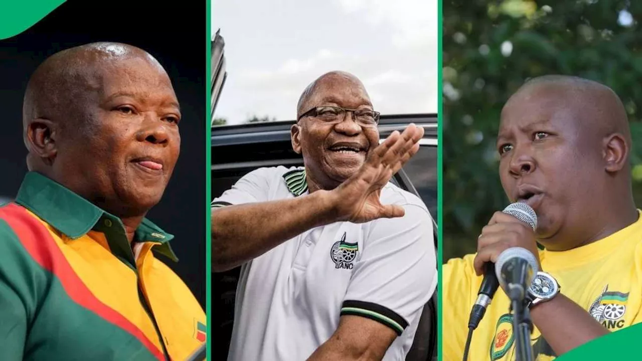 Top 4 ANC Members Expelled From the Party: Jacob Zuma, Julius Malema, and More