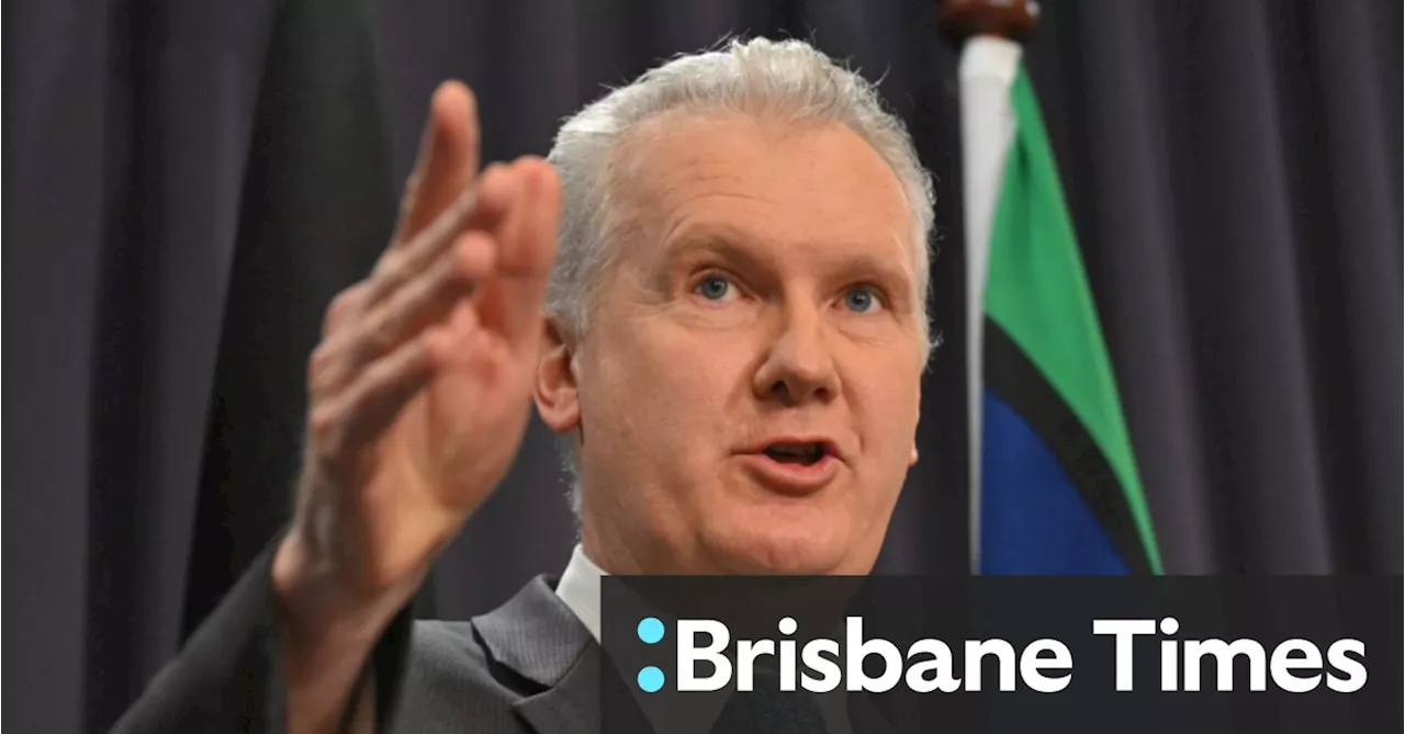 Burke dismisses as ‘idiotic’ opposition claims he would be soft on Palestinian refugees