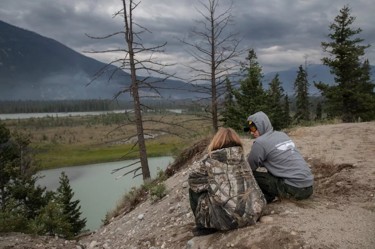 Animals, like those in Jasper, know how to dodge wildfires, say biologists