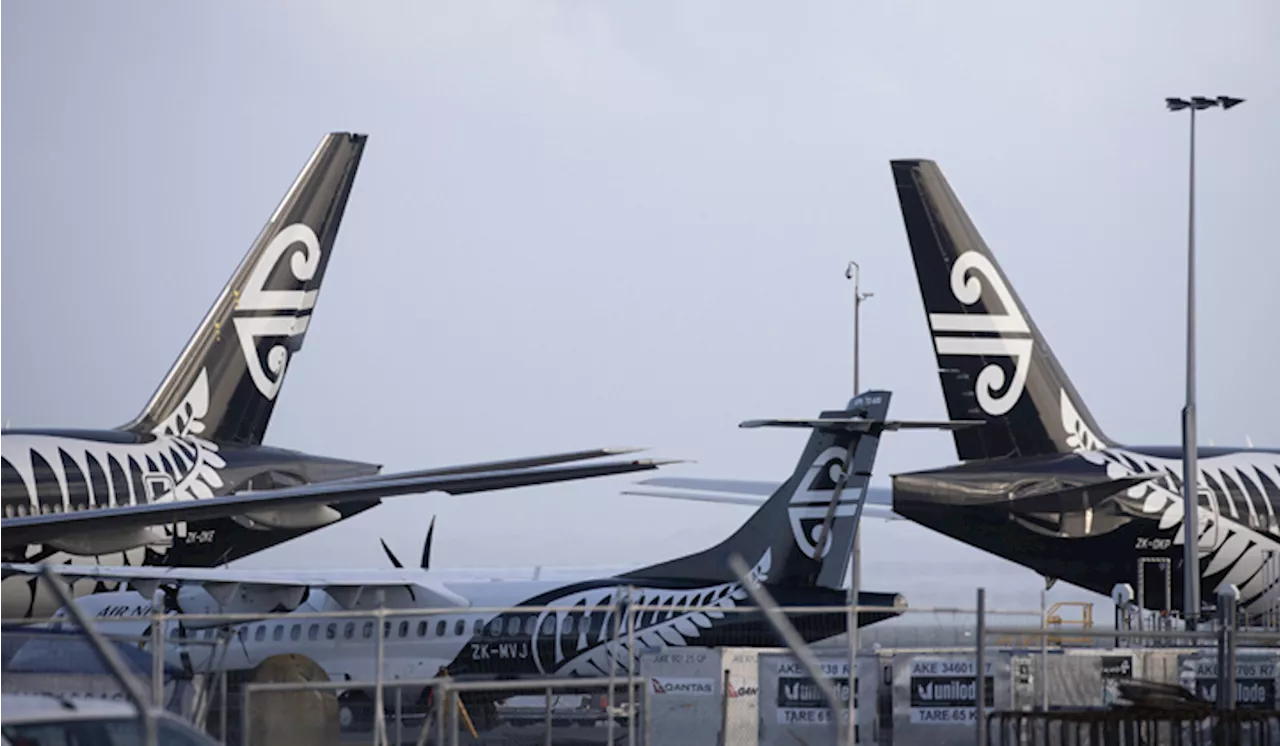 Air New Zealand axes climate goal on aviation sector’s green struggle