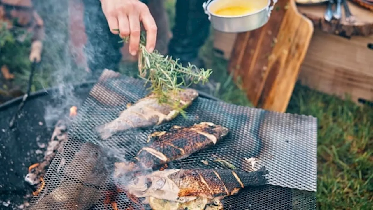 How to cook delicious food while camping — without a ton of gear