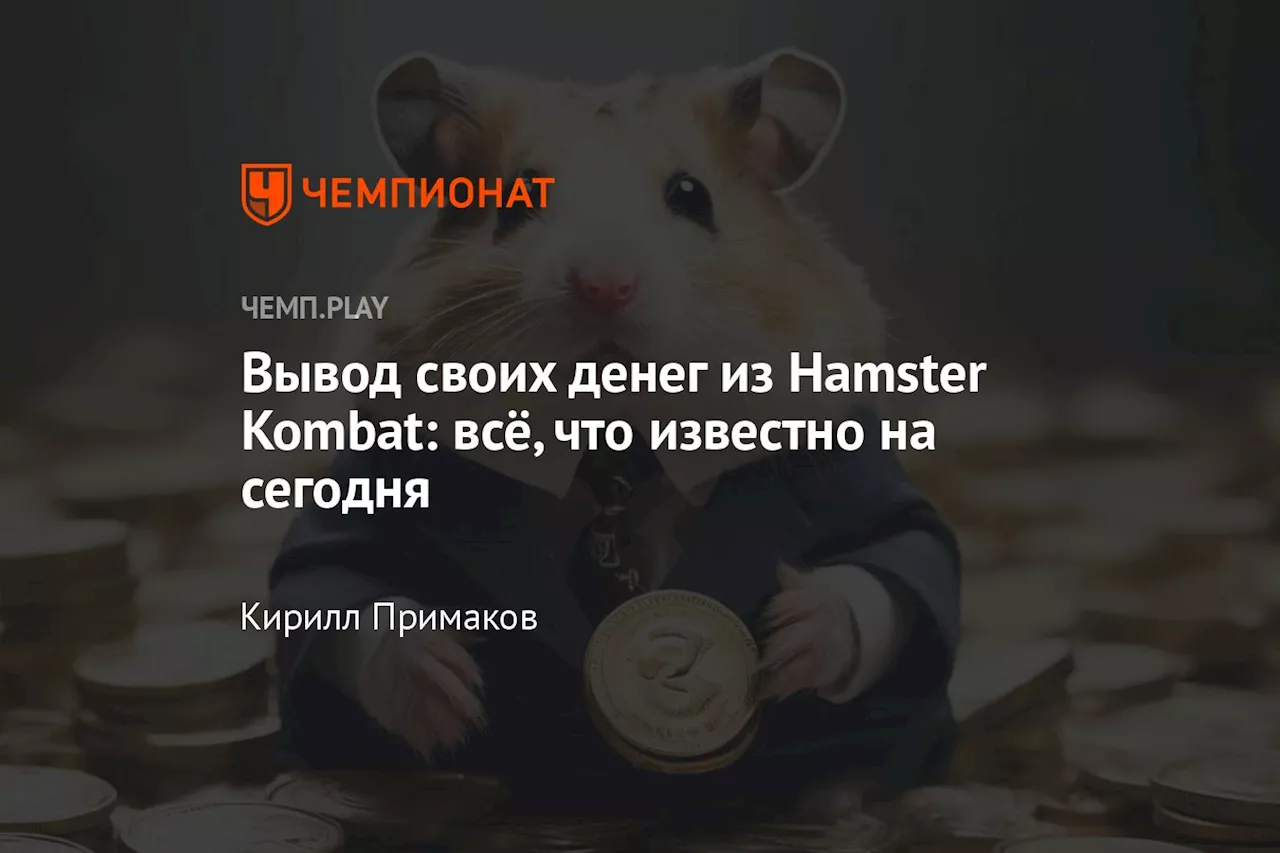 Вывод своих денег из Hamster Kombat: всё, что известно на сегодня