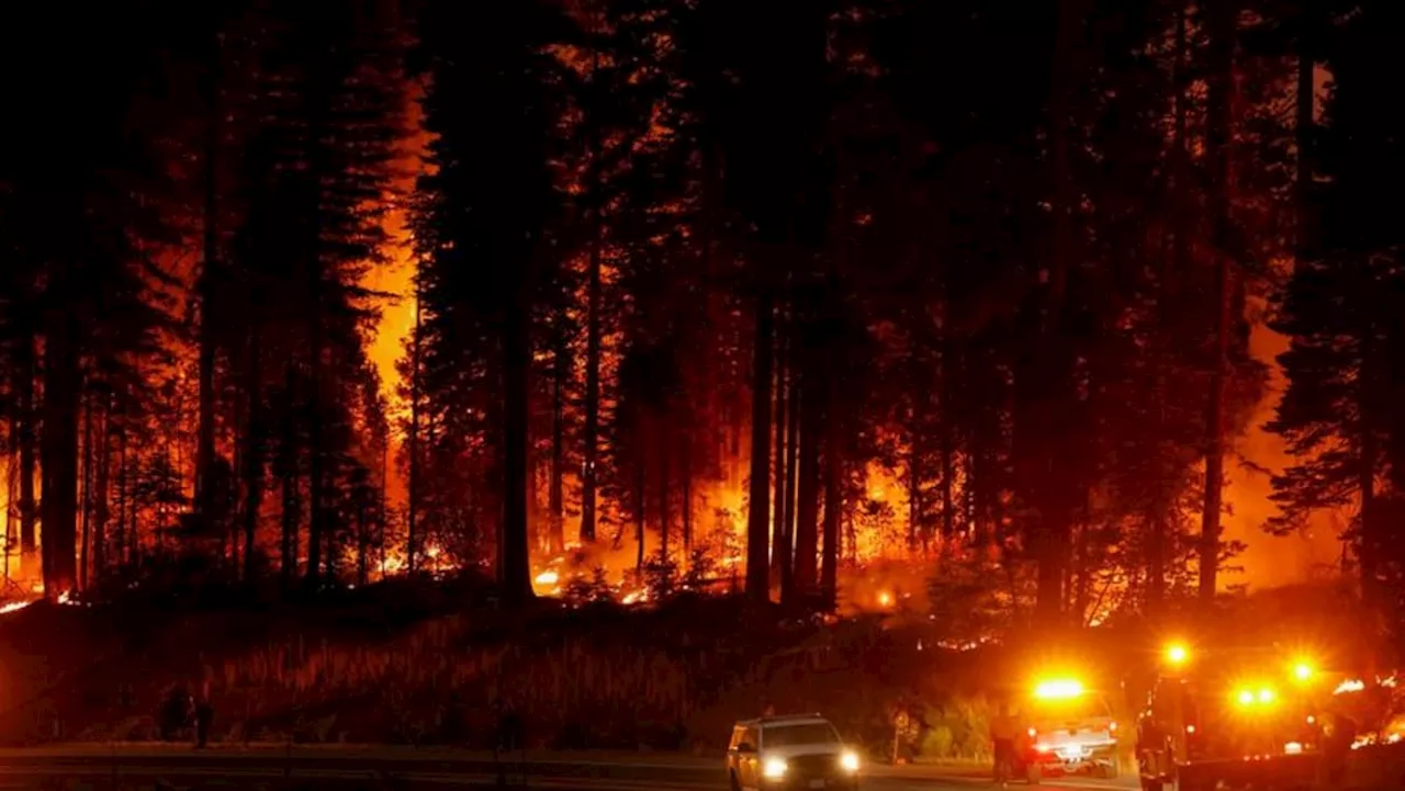 Raging California wildfire grows bigger than city of Los Angeles