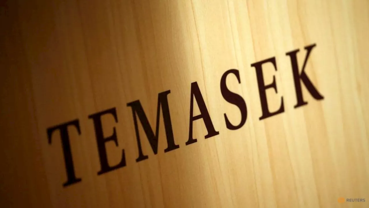 Singapore's Temasek plans to invest up to US$30 billion in US over next five years