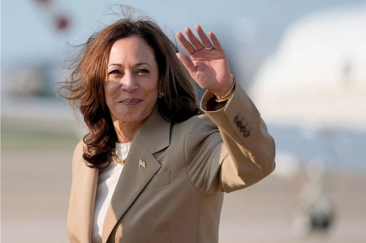 Empresários dos EUA apostam em medidas mais ao centro com Kamala Harris, dizem especialistas