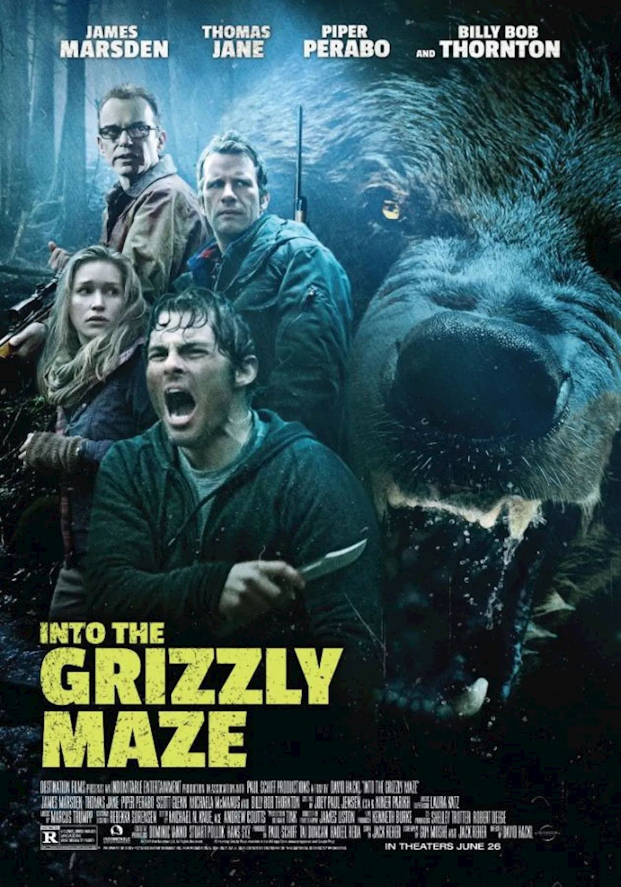 Il Labirinto del Grizzly - Film (2015)